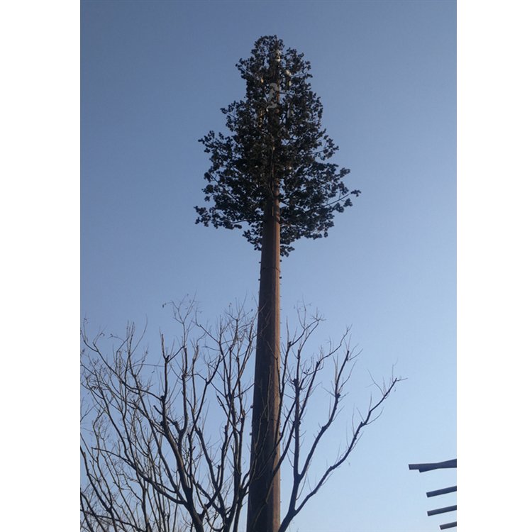 10-50m Camouflaged Palm Tree Cell Phone Tower